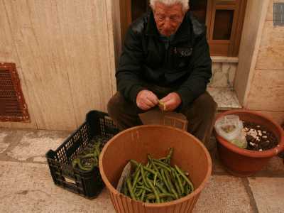 guardando poco pi� avanti vediamo un signore seduto su un gradino intento a pulire i baccelli delle fave fresche: � �Filippo di Mola�, che scopriamo essere un cantautore  dilettante anche abbastanza famoso fra i suoi concittadini